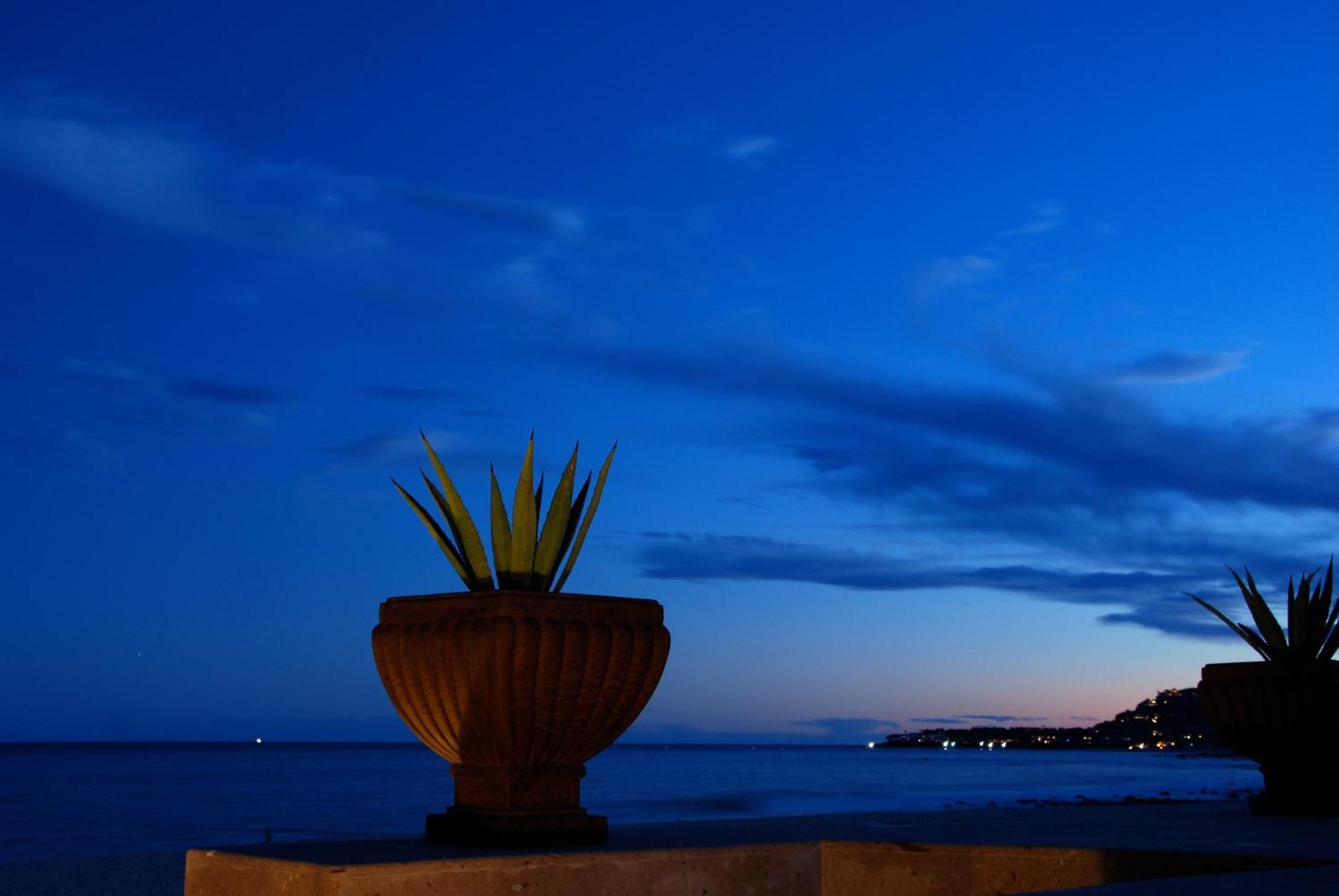 Casa Costa Azul Hotell San José del Cabo Eksteriør bilde