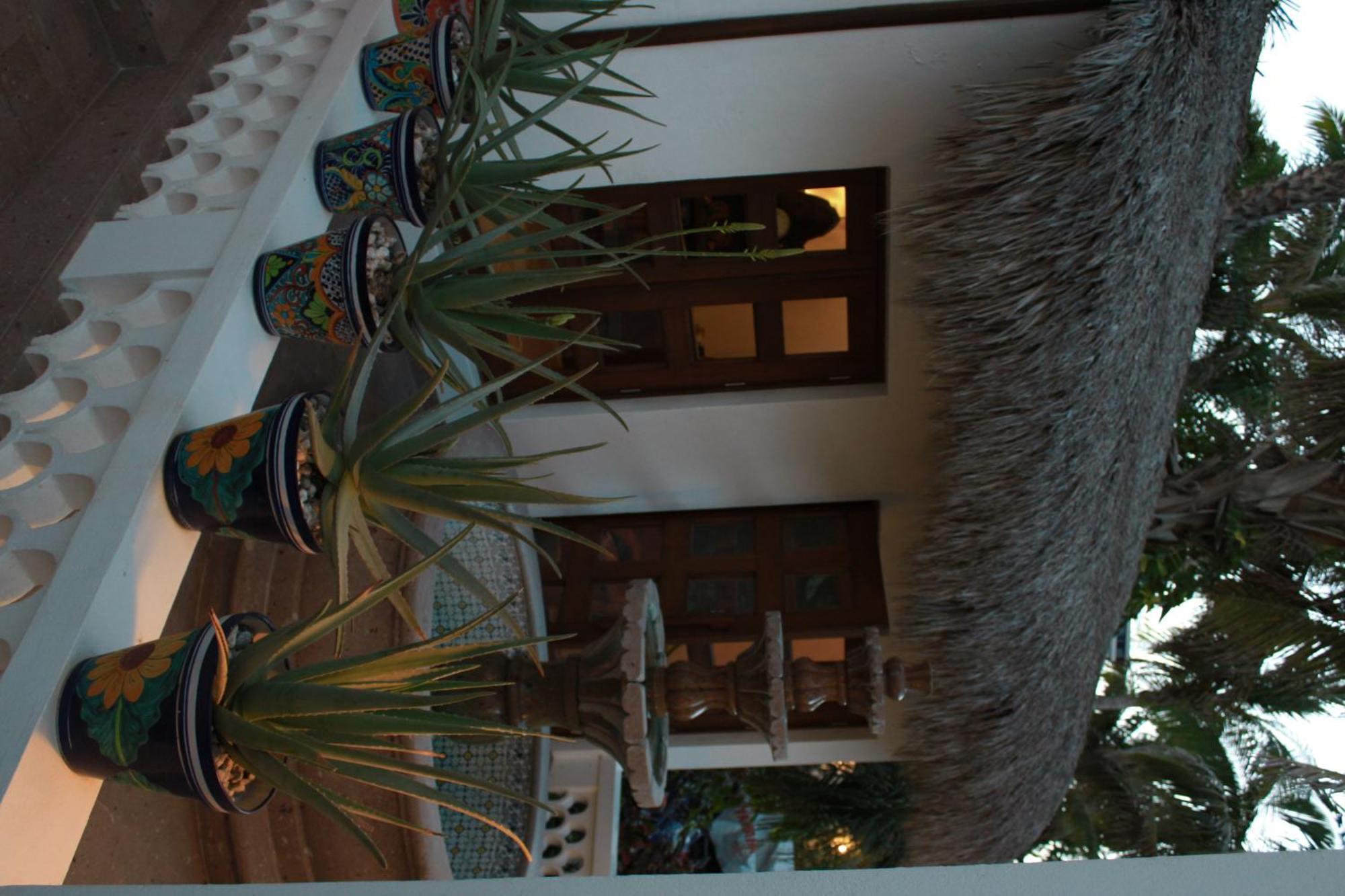 Casa Costa Azul Hotell San José del Cabo Eksteriør bilde