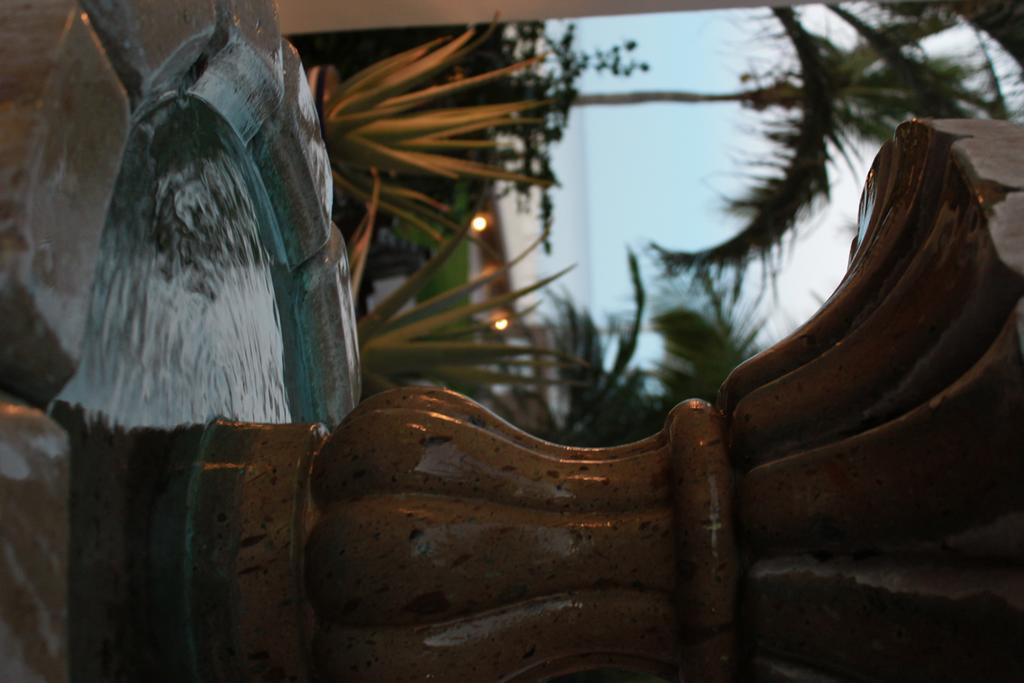 Casa Costa Azul Hotell San José del Cabo Eksteriør bilde