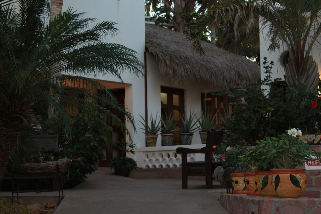 Casa Costa Azul Hotell San José del Cabo Eksteriør bilde