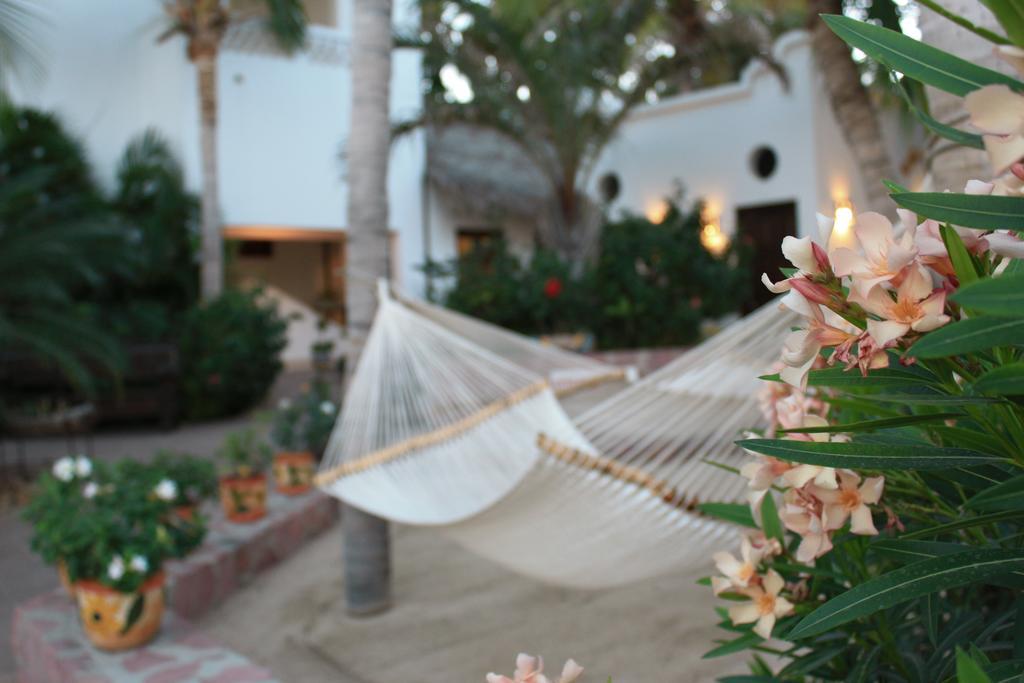 Casa Costa Azul Hotell San José del Cabo Eksteriør bilde