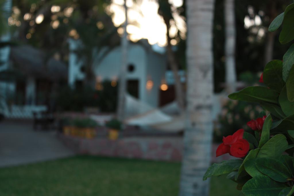 Casa Costa Azul Hotell San José del Cabo Eksteriør bilde